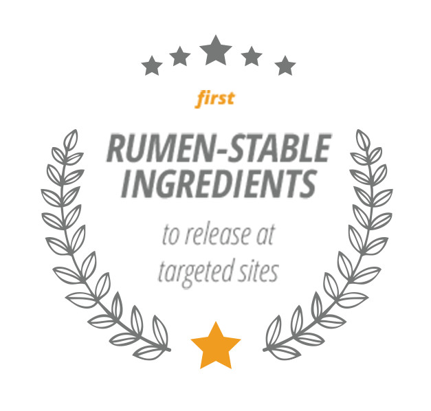 First Rumen-Stable Ingredients to release at targeted sites